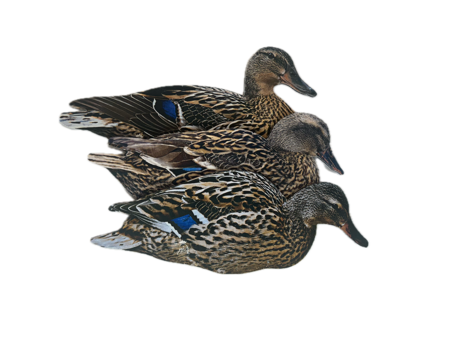 Mallard Silhouette Field Decoys- FULLY FLOCKED