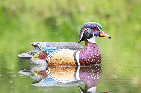 Floating Decoys- Half Dozen (6)