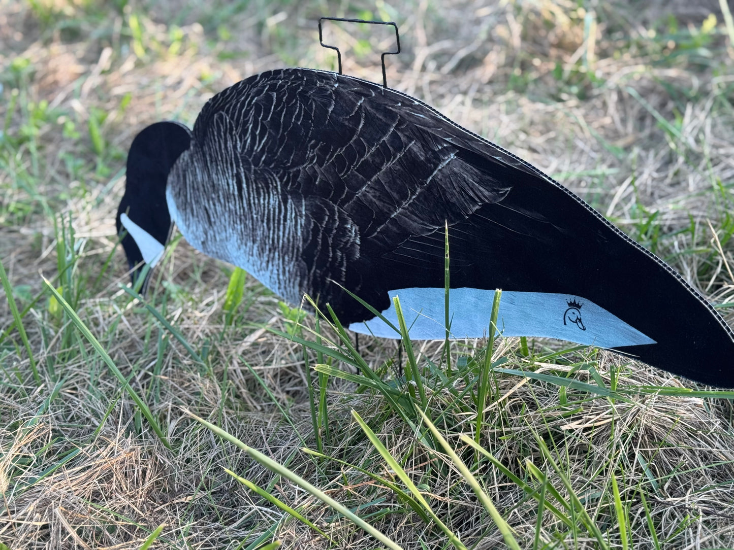 Canada Goose Silhouette Decoys- Fully Flocked