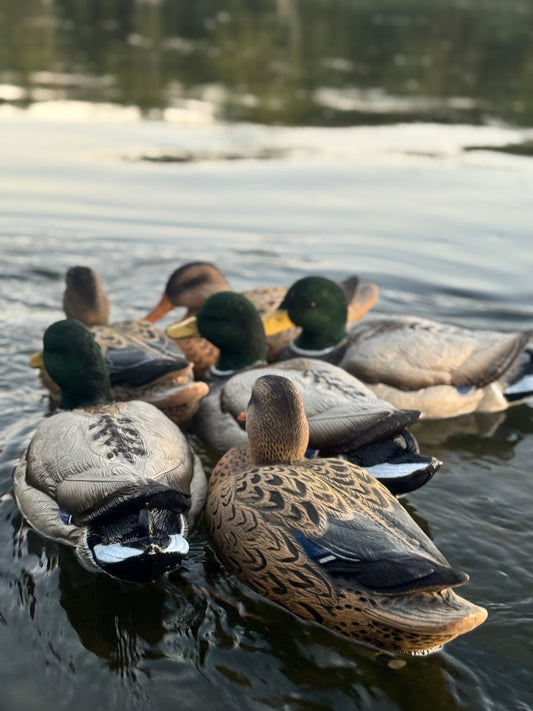 No Flockin