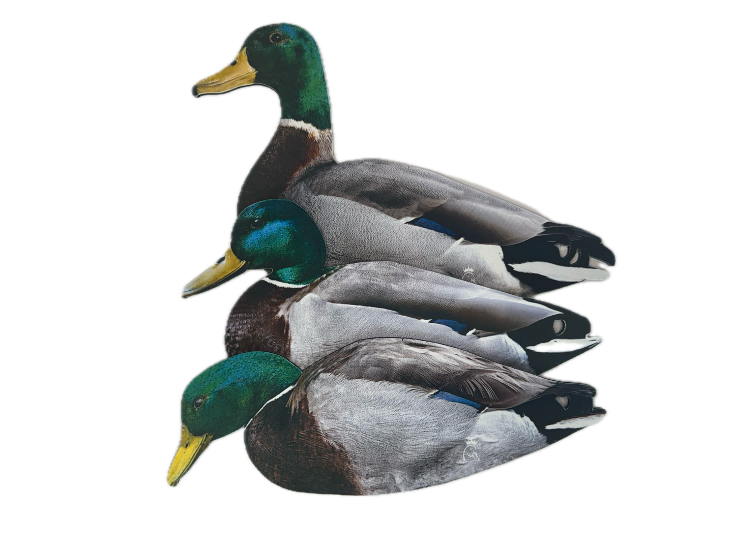 Mallard Silhouette Field Decoys