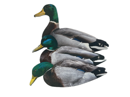 Mallard Silhouette Field Decoys- FULLY FLOCKED