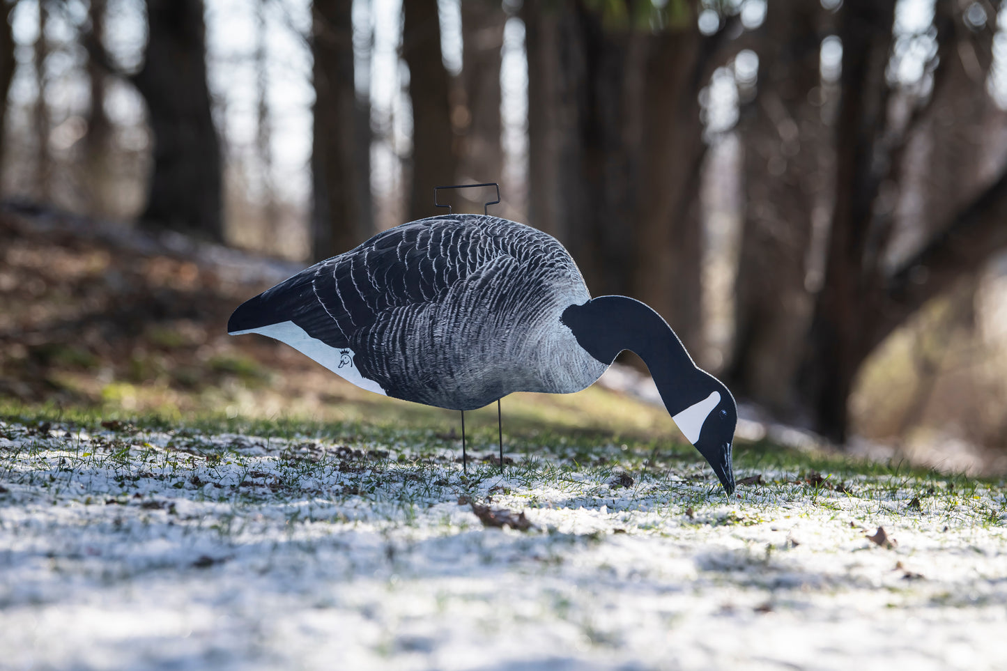 Canada Goose Silhouette Decoys- Fully Flocked