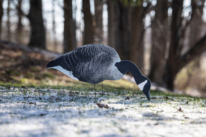 Canada Goose Silhouette Decoys- Fully Flocked