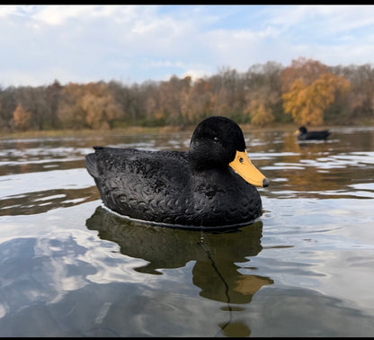 Floating Decoys- Half Dozen (6)