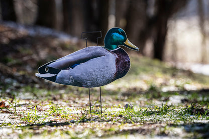 Mallard Silhouette Field Decoys- FULLY FLOCKED