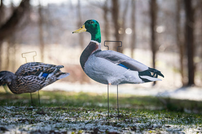Mallard Silhouette Field Decoys- FULLY FLOCKED