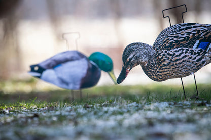 Mallard Silhouette Field Decoys- FULLY FLOCKED