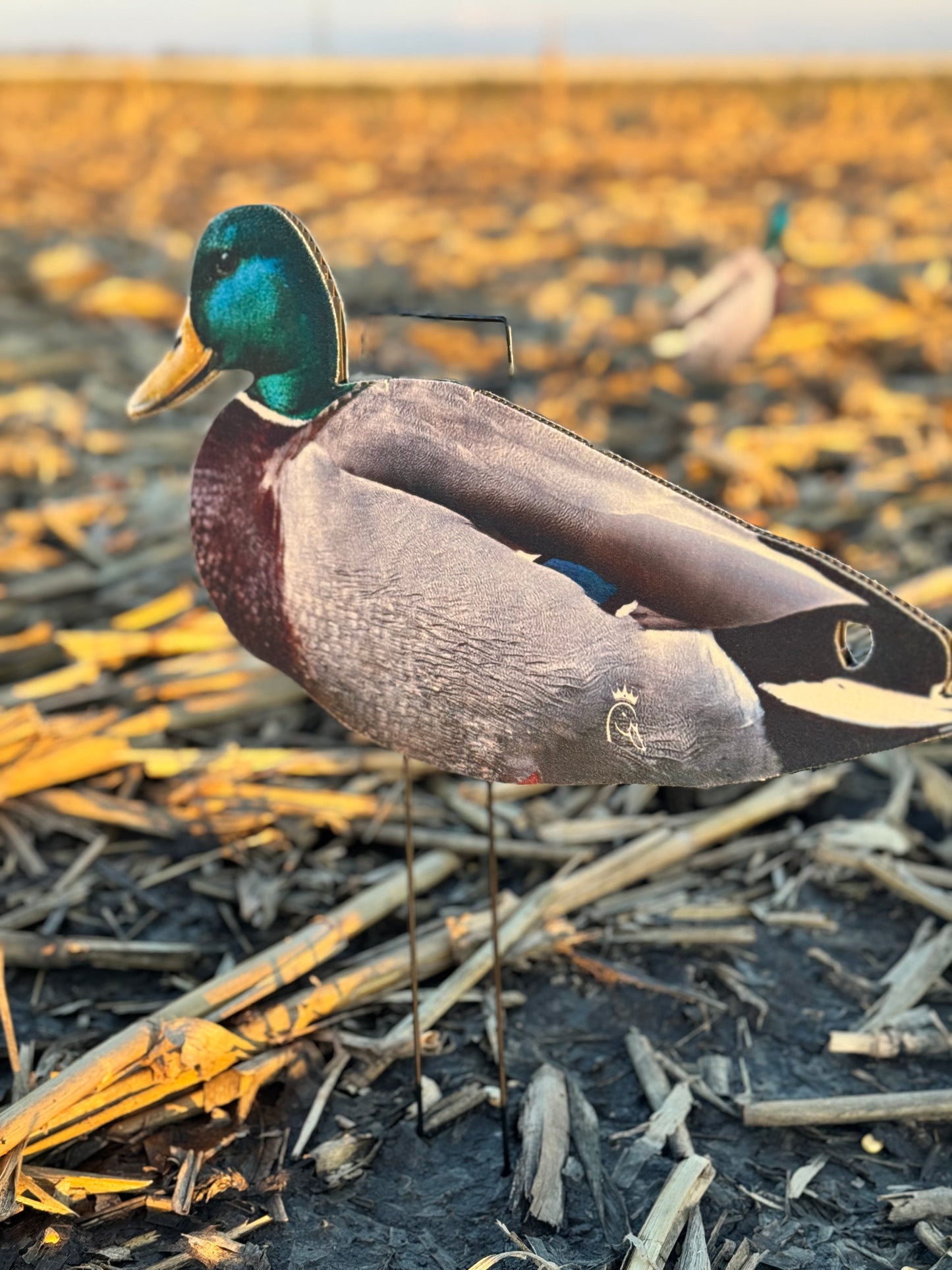 Mallard Silhouette Field Decoys