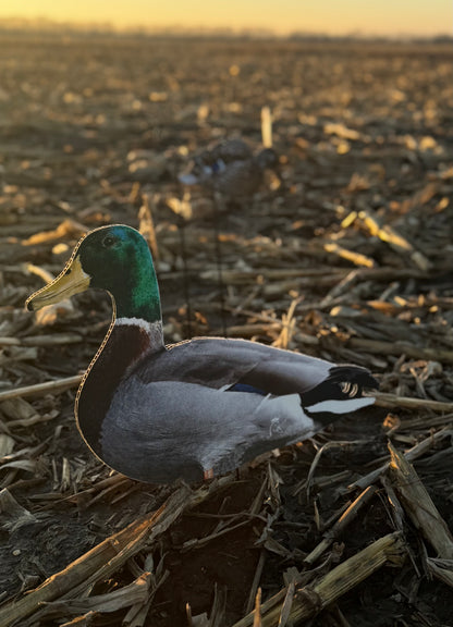Mallard Silhouette Field Decoys- FULLY FLOCKED