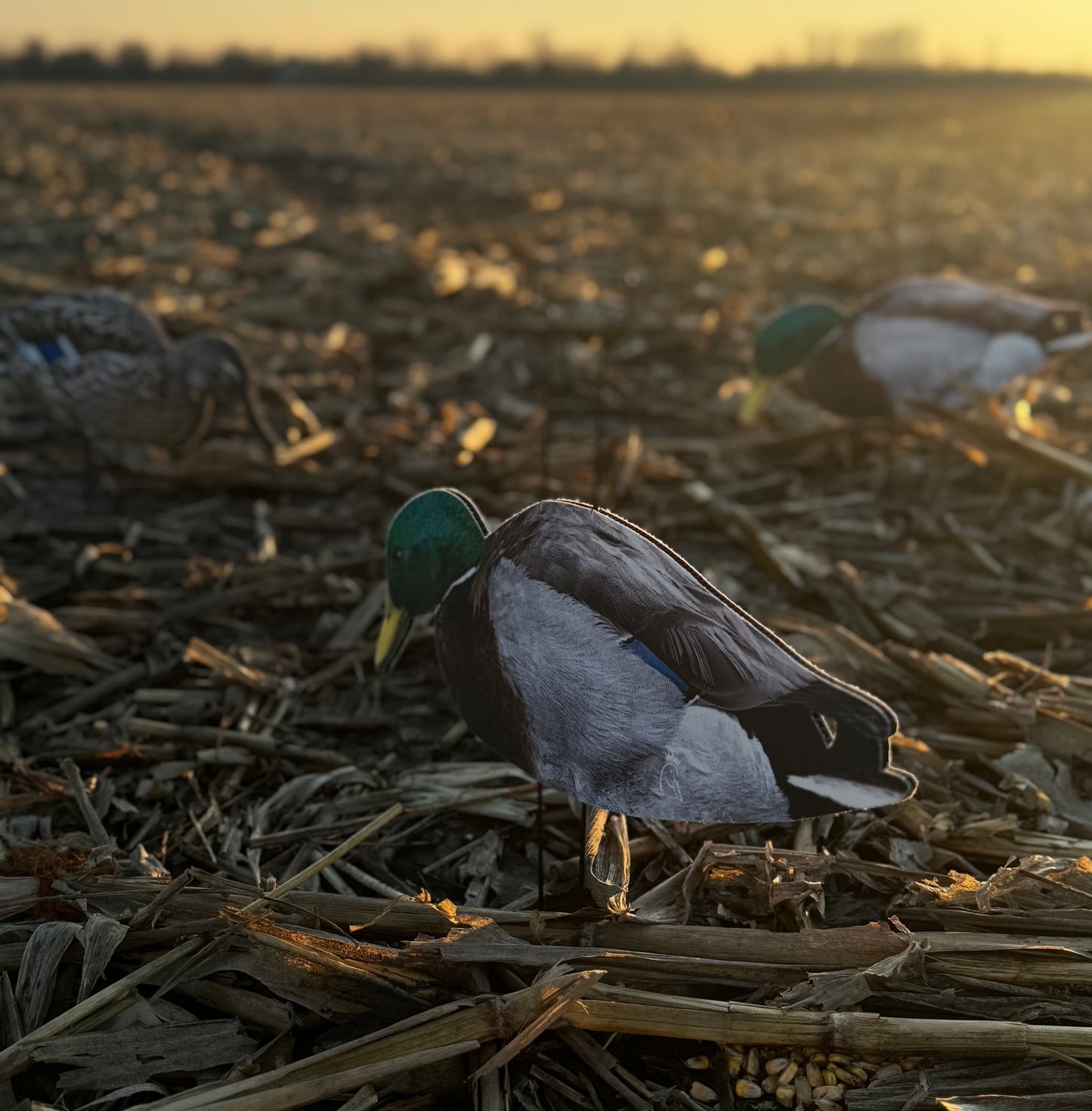 Mallard Silhouette Field Decoys