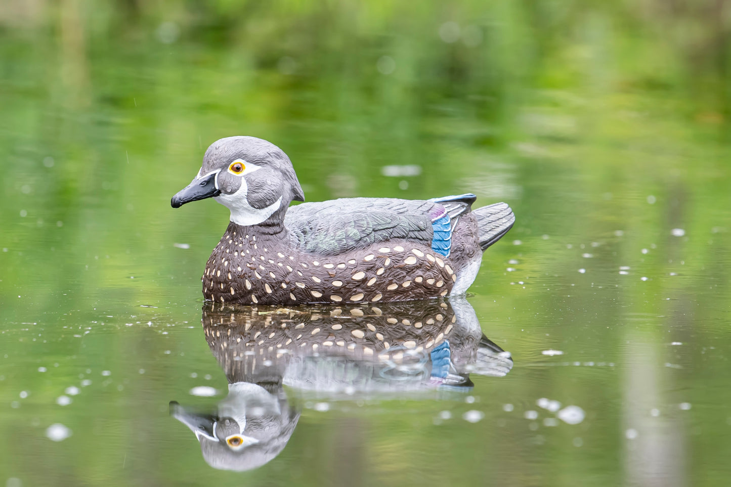 Floating Decoys- Half Dozen (6)